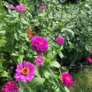 Meet your Posher, Mary